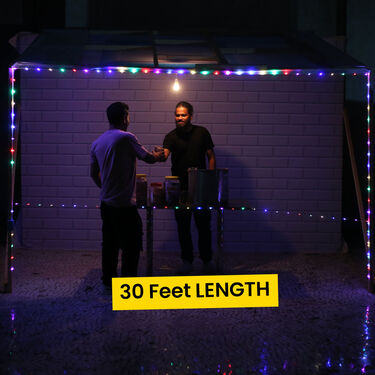 30 Feet Long Multicolor Decoration Light with 100 LEDs (L7)