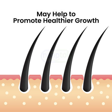 Ayurvedic Shampoo & Serum Oil For Dandruff Care For Women (DTKW)