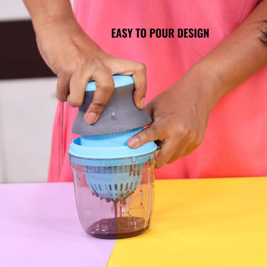 Quick & Healthy Fruit Juicer (FJ13)