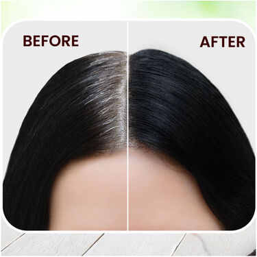 No Stain No Grey Hair Colour Shampoo (S)