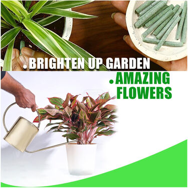 Plant Growth Booster Sticks Pack Of 25 (PFS)