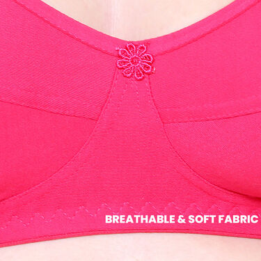 Pack of 10 Full Coverage Bra (10PBR1)