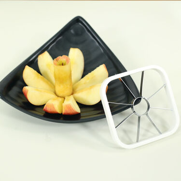 Stainless Steel 5 in 1 Cutter (5SS2)