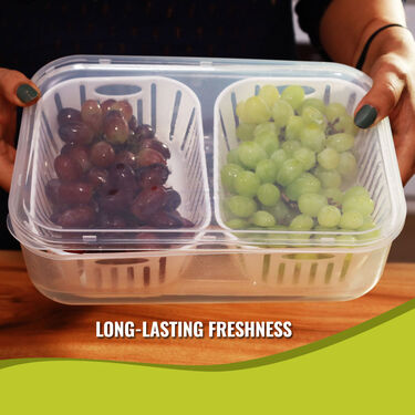 Veggie Fresh Fridge Storage Box (VFSB2)