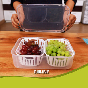 Veggie Fresh Fridge Storage Box (VFSB2)