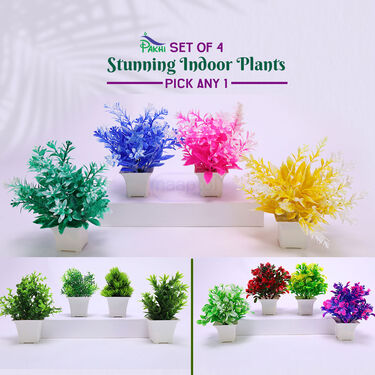 Set of 4 Artificial Plants - Pick Any 1 (4AP1)