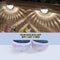 Solar Fence Deck Light Buy 1 Get 1 (L62)
