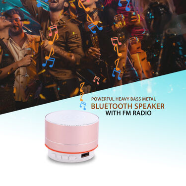 Powerful Heavy Bass Metal Bluetooth Speaker (MSWR)