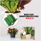 Plant Growth Booster Sticks Pack Of 25 (PFS)